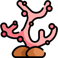 Meet the Sea - Transformación