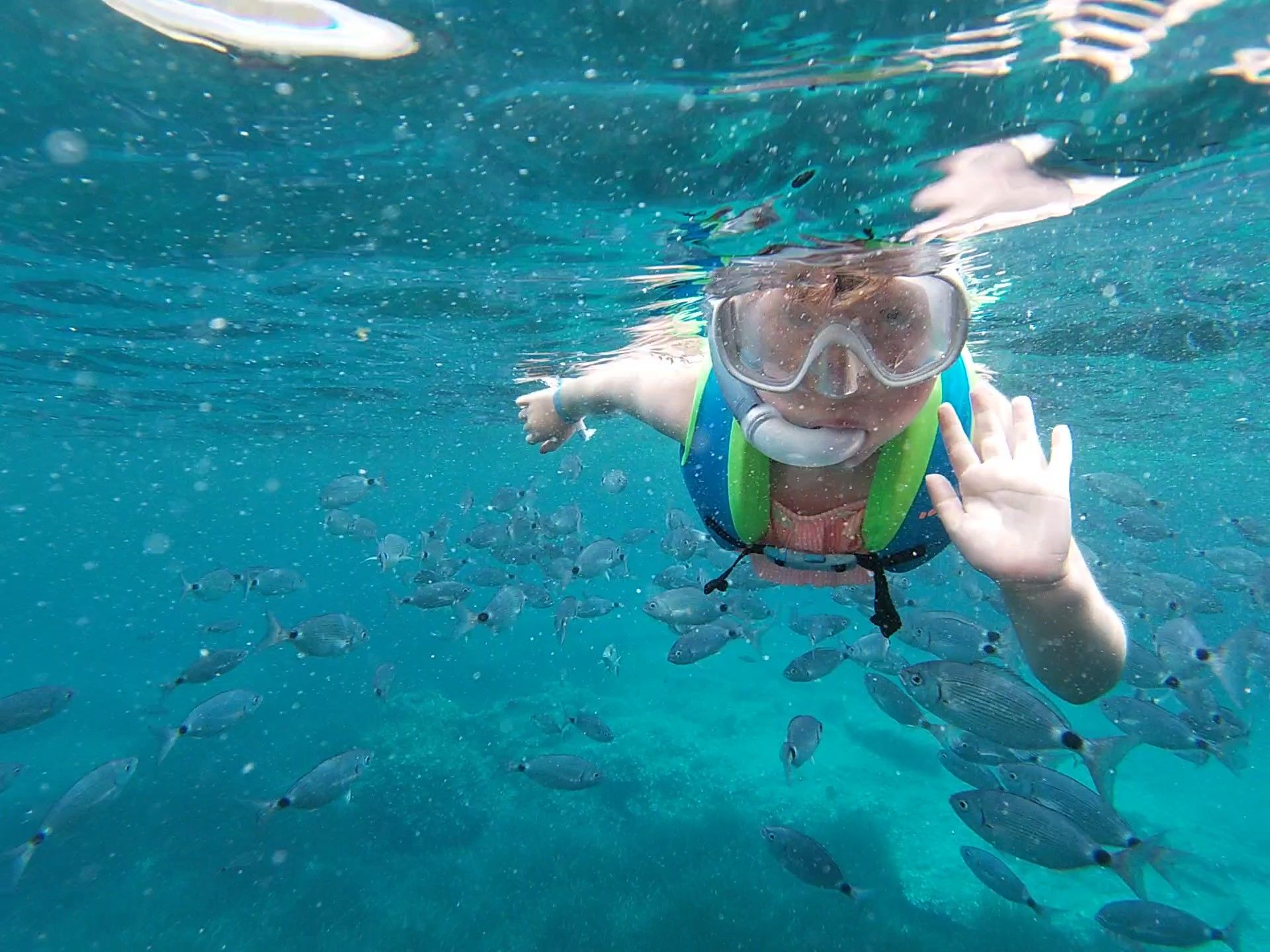 Meet the Sea - Senderismo y snorkel